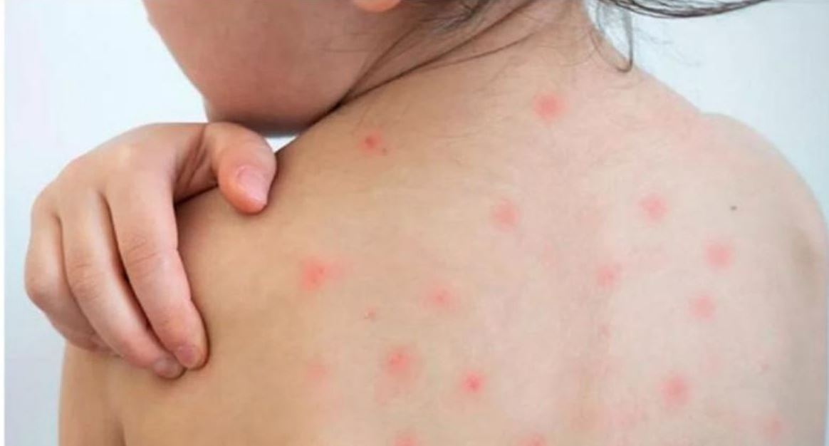 প্রধান উপদেষ্টা পদত্যাগ করবেন না: ফাইজ তাইয়েব আহমেদ