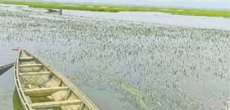 প্রধান উপদেষ্টা পদত্যাগ করবেন না: ফাইজ তাইয়েব আহমেদ