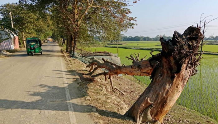 প্রধান উপদেষ্টা পদত্যাগ করবেন না: ফাইজ তাইয়েব আহমেদ