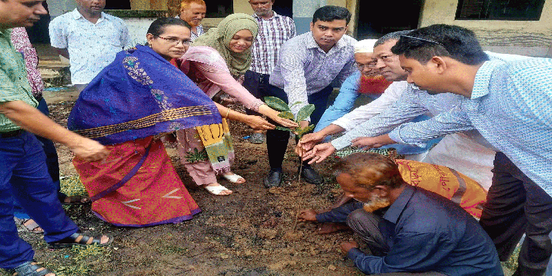 প্রধান উপদেষ্টা পদত্যাগ করবেন না: ফাইজ তাইয়েব আহমেদ