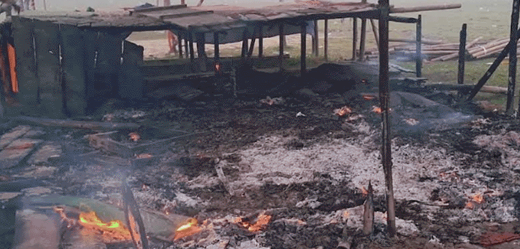প্রধান উপদেষ্টা পদত্যাগ করবেন না: ফাইজ তাইয়েব আহমেদ