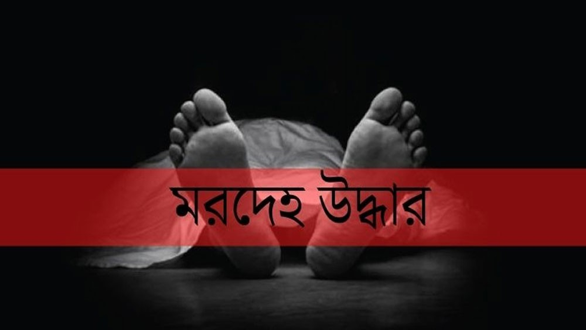 প্রধান উপদেষ্টা পদত্যাগ করবেন না: ফাইজ তাইয়েব আহমেদ