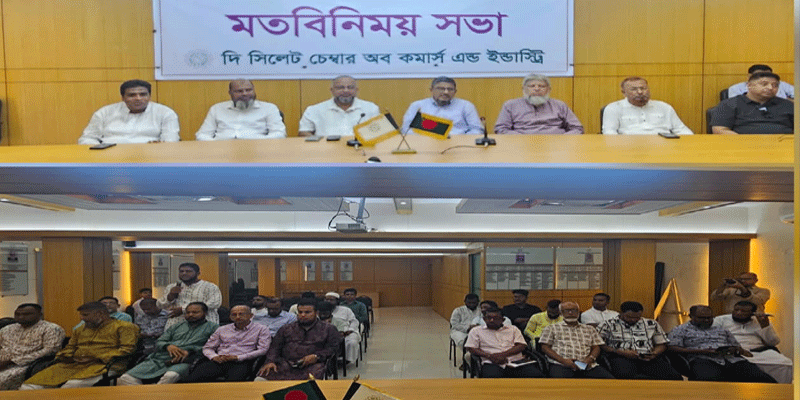 প্রধান উপদেষ্টা পদত্যাগ করবেন না: ফাইজ তাইয়েব আহমেদ