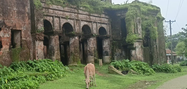 প্রধান উপদেষ্টা পদত্যাগ করবেন না: ফাইজ তাইয়েব আহমেদ