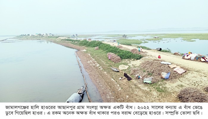 প্রধান উপদেষ্টা পদত্যাগ করবেন না: ফাইজ তাইয়েব আহমেদ