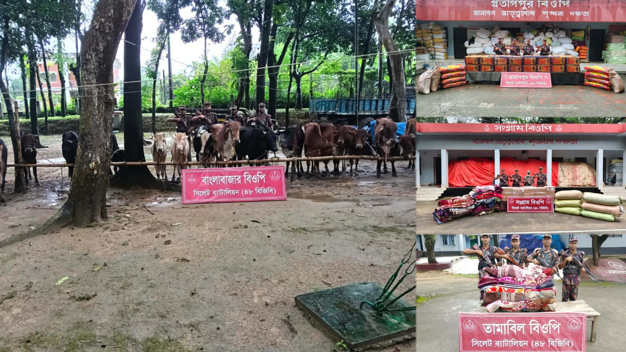 প্রধান উপদেষ্টা পদত্যাগ করবেন না: ফাইজ তাইয়েব আহমেদ