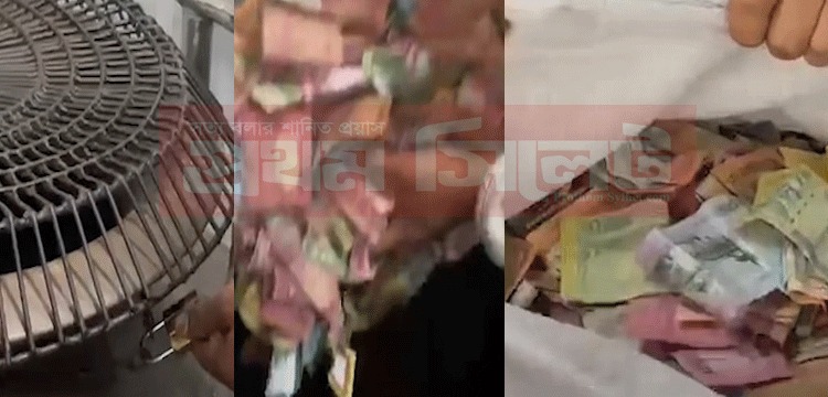 প্রধান উপদেষ্টা পদত্যাগ করবেন না: ফাইজ তাইয়েব আহমেদ