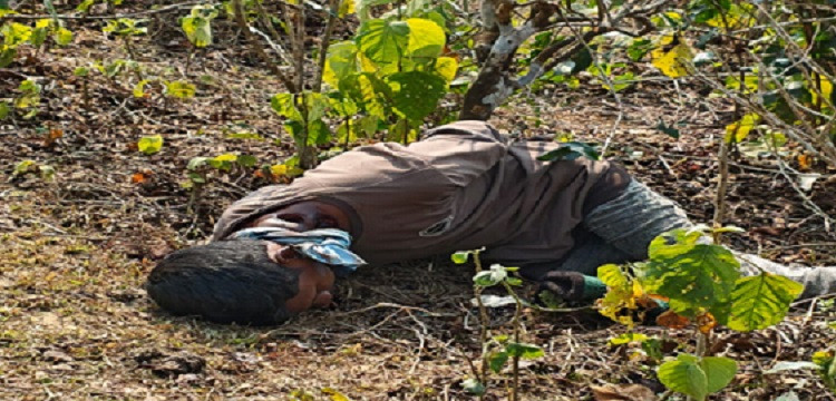 প্রধান উপদেষ্টা পদত্যাগ করবেন না: ফাইজ তাইয়েব আহমেদ