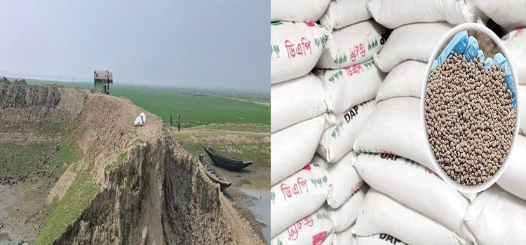 প্রধান উপদেষ্টা পদত্যাগ করবেন না: ফাইজ তাইয়েব আহমেদ