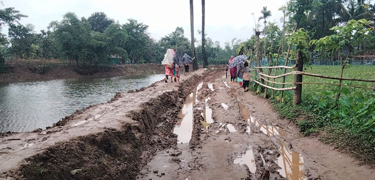 প্রধান উপদেষ্টা পদত্যাগ করবেন না: ফাইজ তাইয়েব আহমেদ