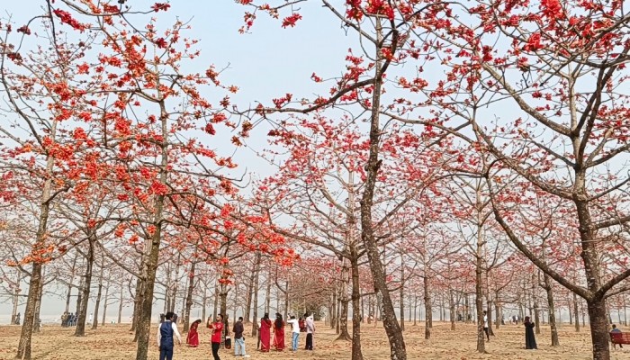 প্রধান উপদেষ্টা পদত্যাগ করবেন না: ফাইজ তাইয়েব আহমেদ