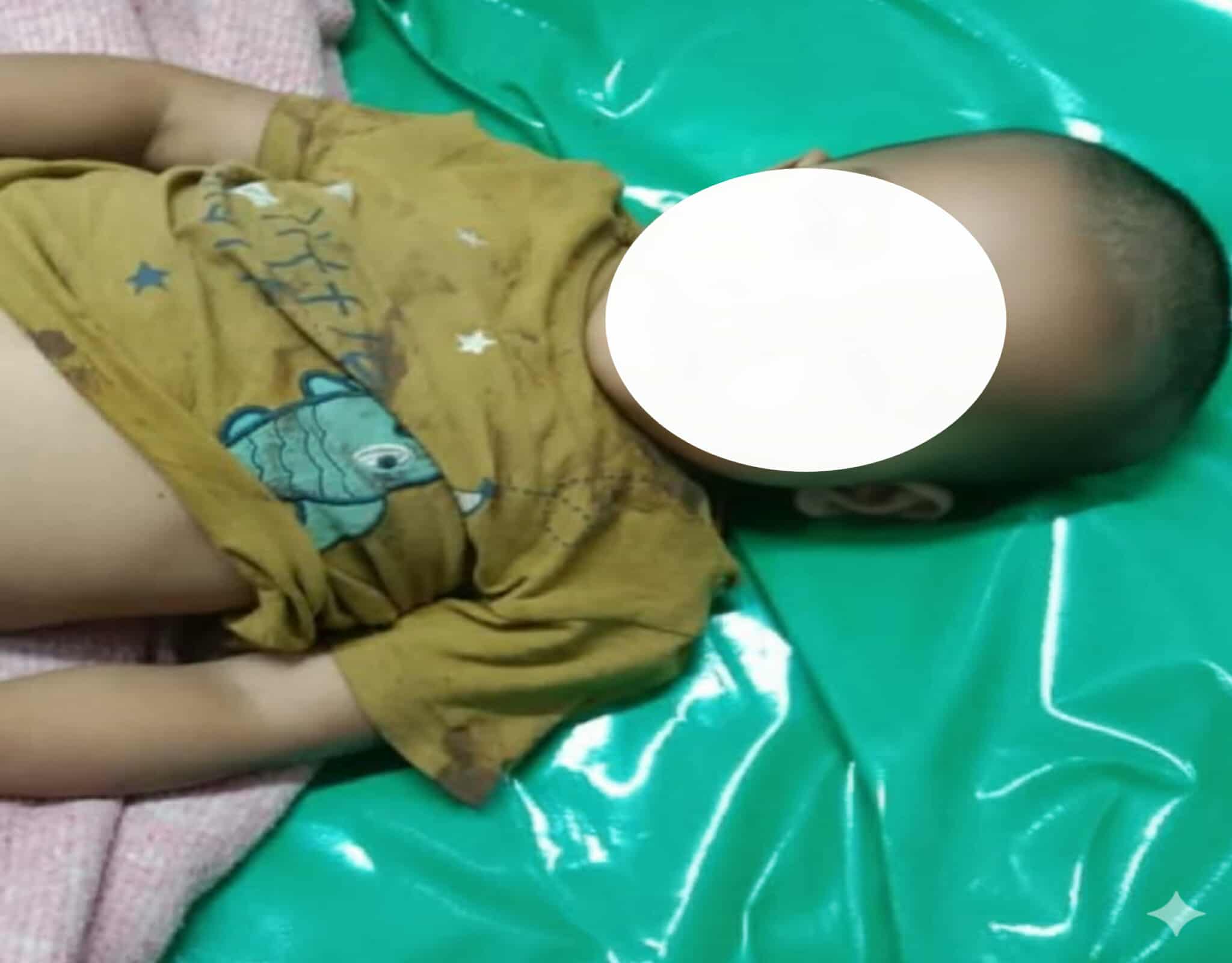 প্রধান উপদেষ্টা পদত্যাগ করবেন না: ফাইজ তাইয়েব আহমেদ