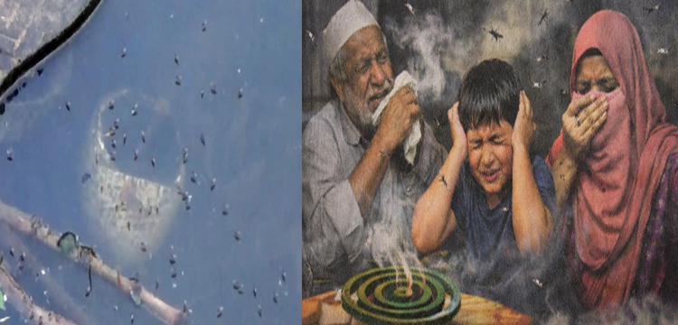 প্রধান উপদেষ্টা পদত্যাগ করবেন না: ফাইজ তাইয়েব আহমেদ