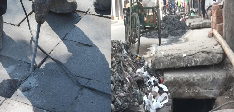 প্রধান উপদেষ্টা পদত্যাগ করবেন না: ফাইজ তাইয়েব আহমেদ