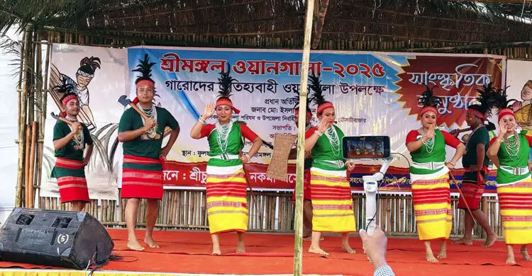 প্রধান উপদেষ্টা পদত্যাগ করবেন না: ফাইজ তাইয়েব আহমেদ