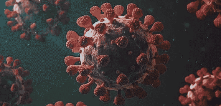 প্রধান উপদেষ্টা পদত্যাগ করবেন না: ফাইজ তাইয়েব আহমেদ