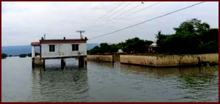 প্রধান উপদেষ্টা পদত্যাগ করবেন না: ফাইজ তাইয়েব আহমেদ