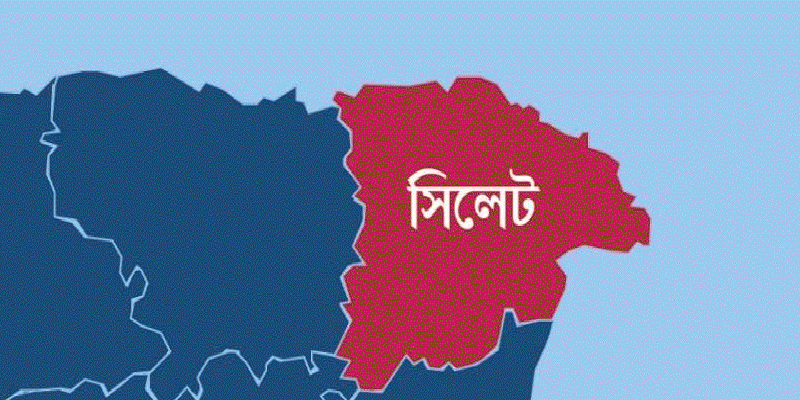 প্রধান উপদেষ্টা পদত্যাগ করবেন না: ফাইজ তাইয়েব আহমেদ