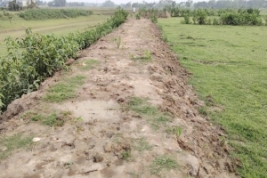 ছাতকে ফসল রক্ষা বাঁধ নির্মাণে অনিয়ম ও দুর্নীতির অভিযোগ: শঙ্কায় কৃষকরা