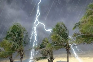 নবীগঞ্জে ধান কাটার সময় বজ্রপাতে কৃষকের মৃত্যু