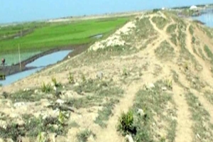 শাল্লায় জমির প্রকৃত মালিক বাদ দিয়ে পিআইসি গঠন, ক্ষুব্ধ কৃষকরা
