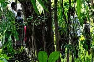 নবীগঞ্জে শিয়ালের কামড়ে নারী-শিশুসহ আহত ৬
