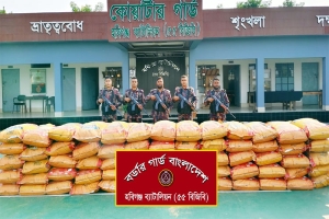 মাধবপুরে বিজিবির অভিযানে সাড়ে ৩১ লাখ টাকার ভারতীয় জিরা জব্দ