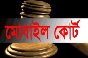 তাহিরপুরে মোবাইল কোর্ট অভিযানে ২টি বাল্কহেড জব্দ, একজনের কারাদণ্ড