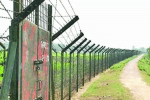 বড়লেখা সীমান্ত দিয়ে রোহিঙ্গাসহ ৮ জনকে ঠেলে দিল বিএসএফ