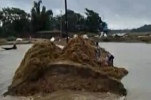 মধ্যনগরে পাহাড়ি ঢলে গ্রামীণ সড়ক ভেঙে ডুবছে হাওর