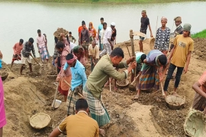 প্রশাসনের বাধা উপেক্ষা করে ফসল রক্ষায় বাঁধ কাটলেন সুনামগঞ্জের কৃষকরা