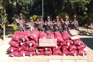 সুনামগঞ্জে তিন লাখ টাকার ভারতীয় পেঁয়াজ–চিনি জব্দ