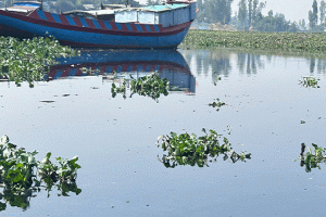 সুতাং নদী মরছে—লাখাইয়ের মানুষের শ্বাসরুদ্ধ দিনযাপন