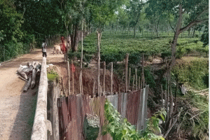 মাধবপুরের সুরমা চা বাগানের ৫০ বছরের পুরোনো সেতু বেহাল, চলাচলে ঝুঁকি