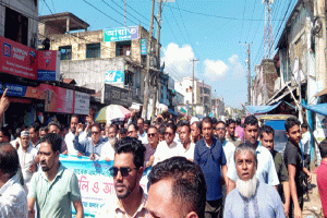 জাতীয় বিপ্লব ও সংহিত দিবসে দিরাইয়ে বিএনপির র‍্যালি ও সভা
