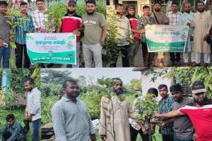 ছাতকে ২০০ বৃক্ষ রোপণ ও বিতরণ করেছে হাওর ও নদী রক্ষা আন্দোলন