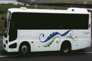 নবজাতককে জানালা দিয়ে ফেলে দিলেন মা