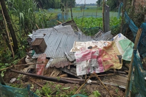 কালবৈশাখীর তাণ্ডবে মৌলভীবাজারের তিন উপজেলায় লণ্ডভণ্ড শতাধিক ঘরবাড়ি