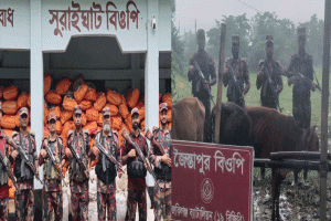 জৈন্তাপুর-কানাইঘাটে অর্ধ কোটি টাকার ভারতীয় চোরাচালানী মালামাল জব্দ