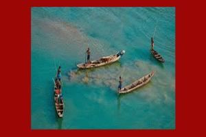 তাহিরপুরে খালে পড়ে এক ব্যক্তি নিখোঁজ