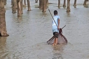 অস্তিত্ব সংকটে টাঙ্গুয়ার হাওরের দেশি মাছ: হুমকিতে জীববৈচিত্র্য ও কর্মসংস্থান