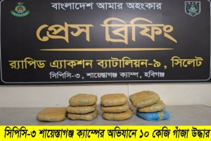 চুনারুঘাটে র‌্যাবের অভিযানে পরিত্যক্ত অবস্থায় ১০ কেজি গাঁজা উদ্ধার