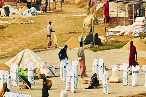 ফলন পেলেও বাজার ও সিন্ডিকেটে দিশেহারা সুনামগঞ্জের বোরো চাষিরা