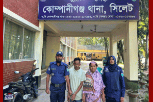 কোম্পানীগঞ্জে মাদক ও অবৈধ পাথরবাহী যানবাহন জব্দ