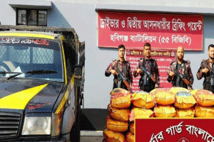 মাধবপুরে গোখাদ্যের বস্তার আড়ালে জিরা, বিজিবির অভিযানে উদ্ধার