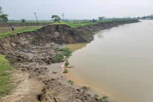 কালনীর করাল গ্রাসে বিলীন হচ্ছে জনপদ