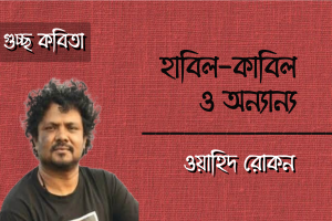 ওয়াহিদ রোকন এর কবিতা ‘হাবিল-কাবিল ও অন‍্যান‍্য’