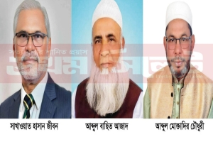 হবিগঞ্জ–২ আসনে পাঁচ প্রার্থীর চেয়ে এগিয়ে বিএনপির ডা. জীবন