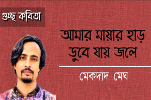 আমার হাড় ডুবে যায় জলে ।। মেকদাদ মেঘ