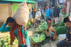 সুনামগঞ্জে সবজির বাজারে অস্বাভাবিকভাবে দরপতন